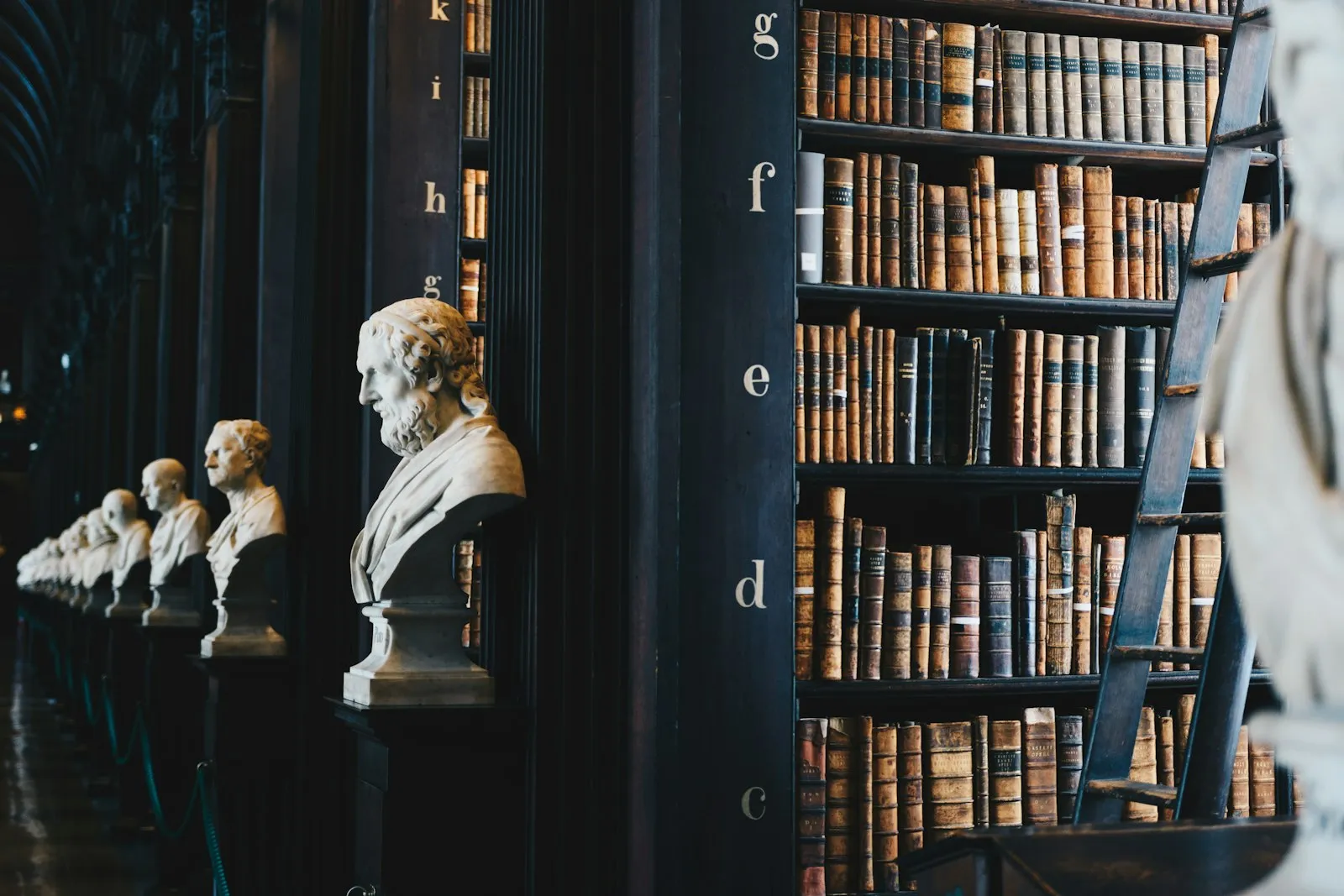A library of old leather-bound books with marble busts.