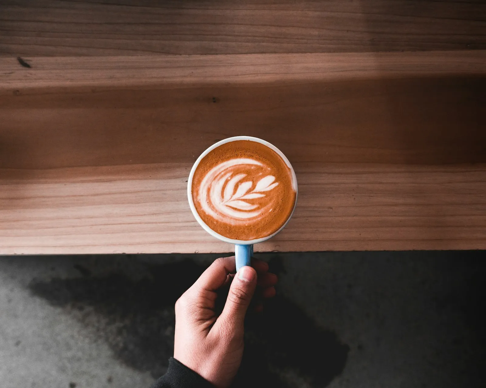 A latte with a leaf pattern held over a dark wooden counter.